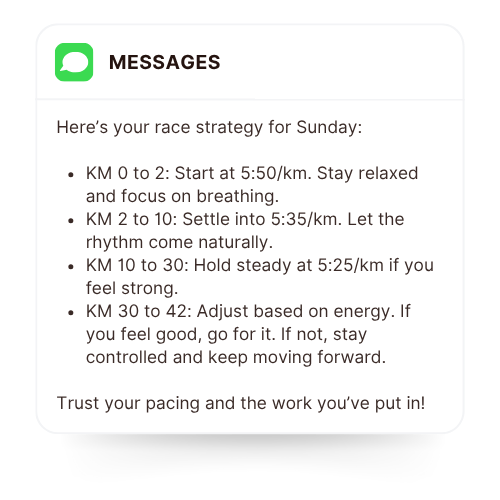 Race strategy planning example